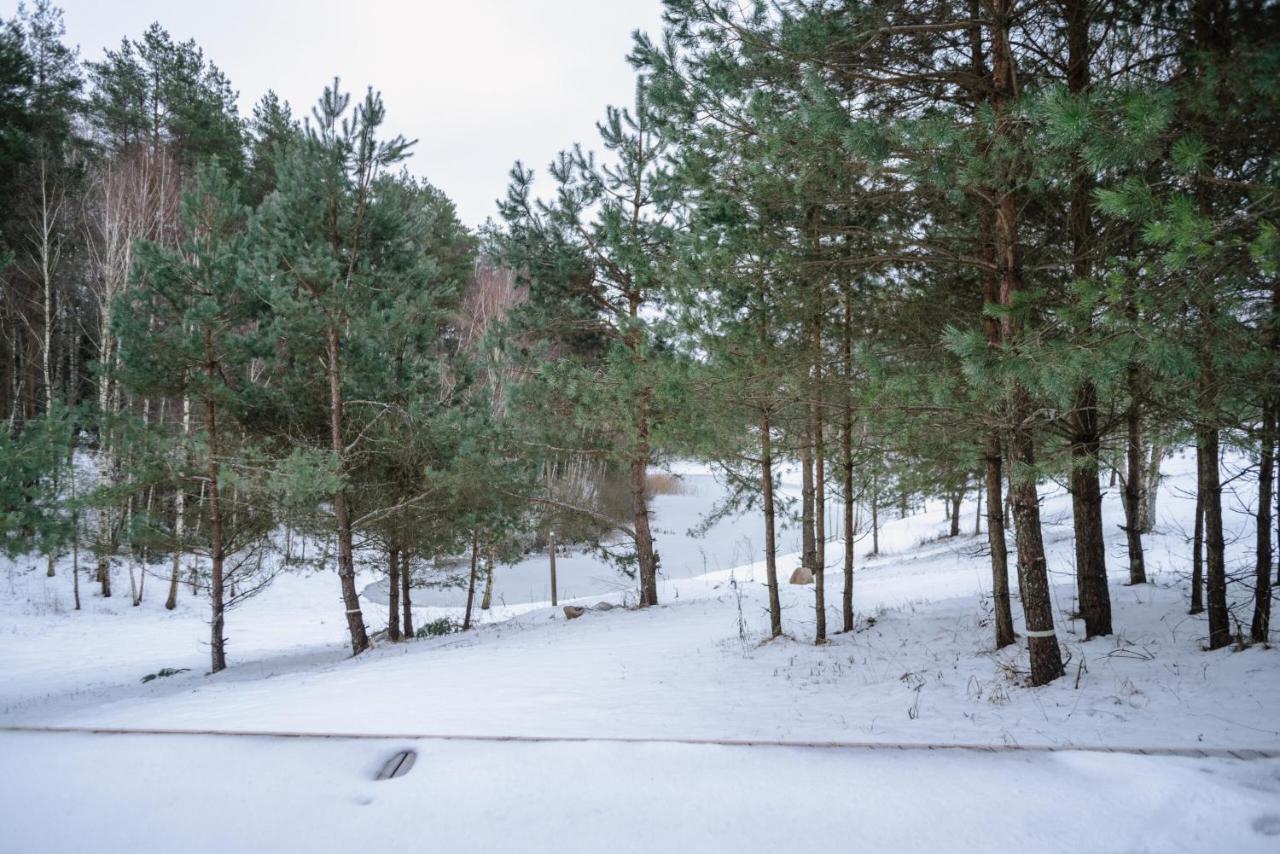 Ausrines Villa Liskiava Luaran gambar